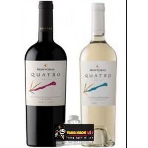 Vang Chile Montgras QUATRO bn1