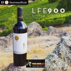 Vang Chile LFE 900 bn1