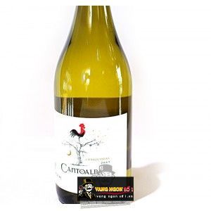 Vang Chile Cantoalba Chardonnay bn1