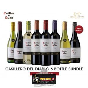 Vang Chile Casillero Del Diablo Sauvignon Blanc bn1