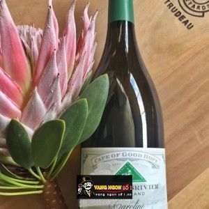 Vang Nam Phi CAPE OF GOOD HOPE RIEBEEKSRIVIER CAROLINE bn1