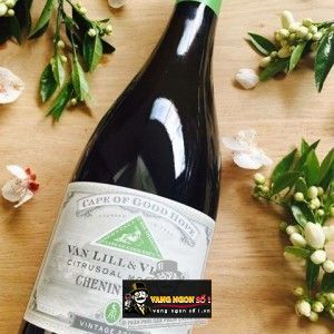 Vang Nam Phi CAPE OF GOOD HOPE RIEBEEKSRIVIER CAROLINE bn3