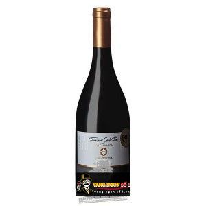 Vang Chile CASAS DEL TOQUI Gran Reserva Syrah