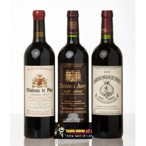 Vang Pháp Chateau Aney HAUT MEDOC bn2