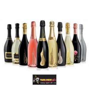 Rượu Champagne BOTTEGA PROSECCO bn1