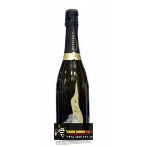 Rượu Champagne BOTTEGA PROSECCO bn2