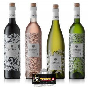 Rượu Vang Nam Phi PROTEA CABERNET SAUVIGNON bn1