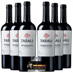 Rượu Vang Chile TABALI PEDREGOSO SYRAH bn1