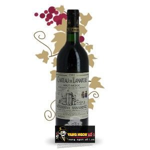 Vang Pháp CHATEAU DE LAMARQUE bn4