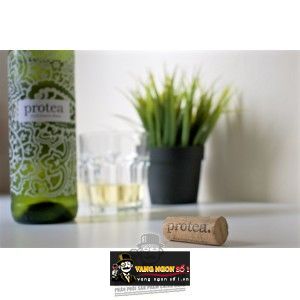 Rượu Vang Nam Phi PROTEA CHENIN BLANC bn3