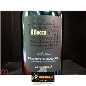 Vang Ý IL BACCA Primitivo Di Manduria bn2