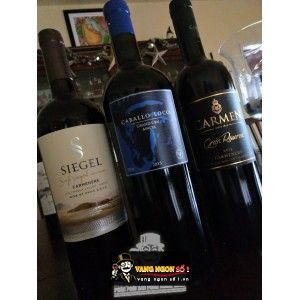 Rượu Vang Chile SIEGEL SINGLE VINYARD CARMENERE bn1