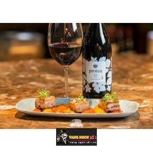 Rượu Vang Nam Phi PROTEA SHIRAZ bn1
