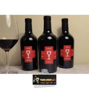 Vang Ý CORIMEI SCHOLA SARMENTI SALENTO 20 ĐỘ bn2