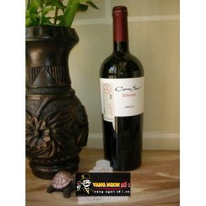 Vang Chile CONO SUR 20 BARREL Cabernet Sauvignon bn1