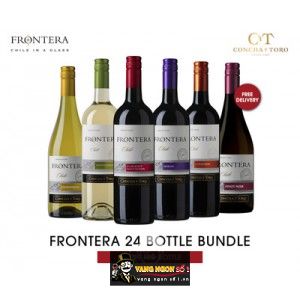 Vang Chile FRONTERA Cabernet Sauvignon bn2