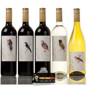 Vang Chile AVES DEL SUR Cabernet Sauvingon bn1