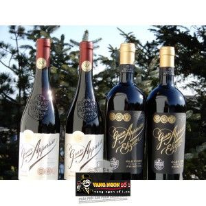 Vang Ý GRAN APPASSO 98 ĐIỂM bn3