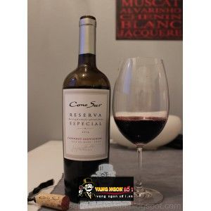 Vang Chile CONO SUR RESERVA ESPECIAL Cabernet Sauvignon bn1