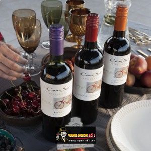 Vang Chile CONO SUR BICICLETA CABERNET SAUVIGNON bn1