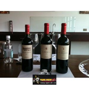 Rượu Vang Chile EL PRINCIPAL bn1