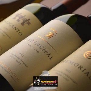 Rượu Vang Chile EL PRINCIPAL bn2