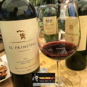 Rượu Vang Chile EL PRINCIPAL bn3