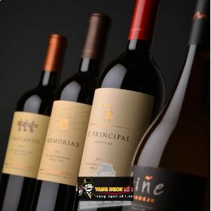 Rượu Vang Chile EL PRINCIPAL bn4