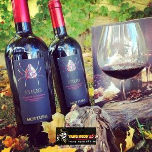 Vang Ý STILIO MOTTURA PRIMITIVO DI MANDURIA bn2