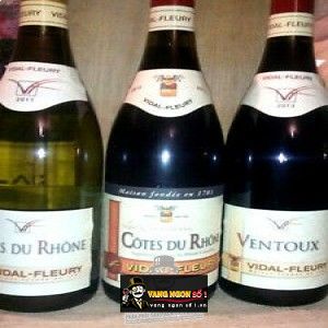 Vang Pháp COTES DU RHONE VIDAL FLEURY bn1