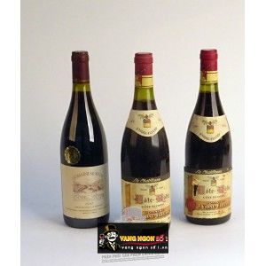 Vang Pháp LA CHATILLONNE COTE ROTIE VIDAL FLEURY bn2