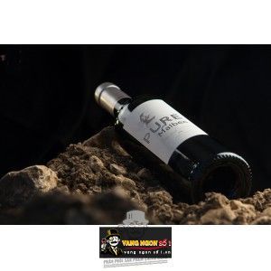 Vang Pháp CHATEAU PECH DE JAMMES PURE MALBEC bn1