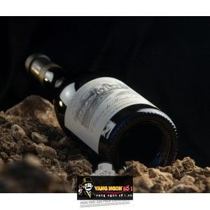 Vang Pháp CHATEAU LERET MONPEZAT 2009 bn1