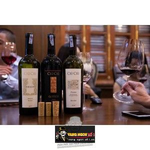 Vang Ý CIÙ CIÙ PICENO BACCHUS bn1