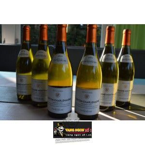 Vang Pháp PATRIARCHE CORTON CHARLEMAGNE GRAND CRU bn3