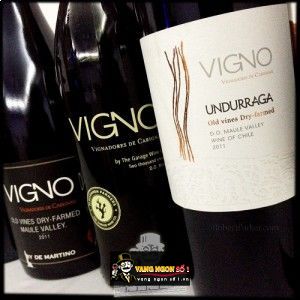 Vang Chile VIGNO UNDURRAGA bn1