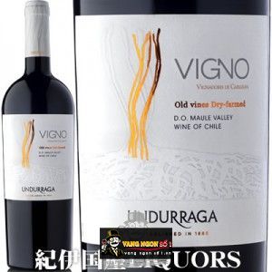 Vang Chile VIGNO UNDURRAGA bn2