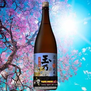 Rượu Sake Junmai Ginjo Shuraku 720 ML