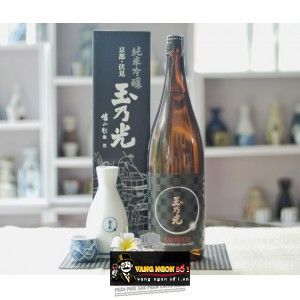 Rượu Sake Junmai Ginjo Karakuchi