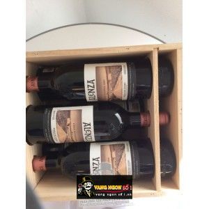 Vang Tây Ban Nha ALENZA GRAN RESERVA bn1