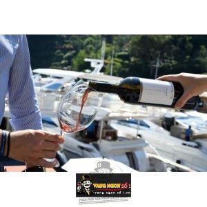 Vang Ý GIANNI GAGLIARDO BAROLO SERRE bn3