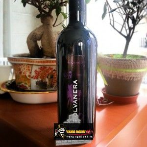 Rượu Vang Ý POLVANERA AGLIANICO bn3