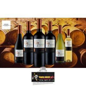 Vang Ngọt Chile G7 RESERVA LATE HARVEST bn2
