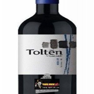 Vang Chile TOLTEN MERLOT bn1