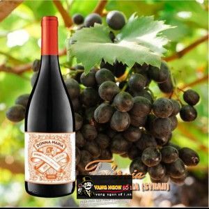 Vang Chile DONNA MARIA FALERNIA bn1