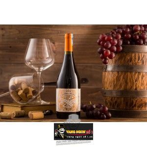 Vang Chile DONNA MARIA FALERNIA bn2