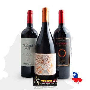 Vang Chile DONNA MARIA FALERNIA bn3