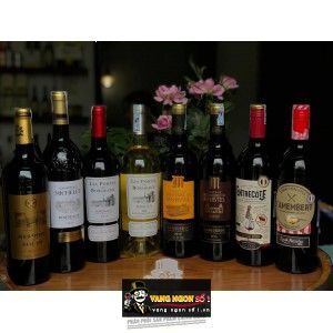 VANG PHÁP CHATEAU SEIGNEURIE DE MURVIEL LANGUEDOC bn1