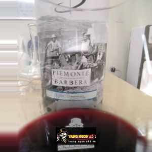 Vang Bịch Ý BOERI PIEMONTE BARBERA 3L bn1