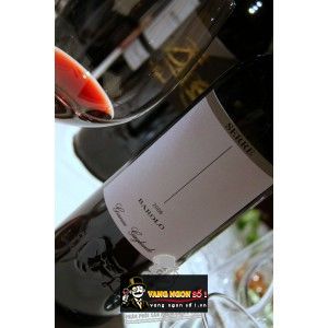 Vang Ý GIANNI GAGLIARDO BAROLO RISERVA CANNUBI bn2